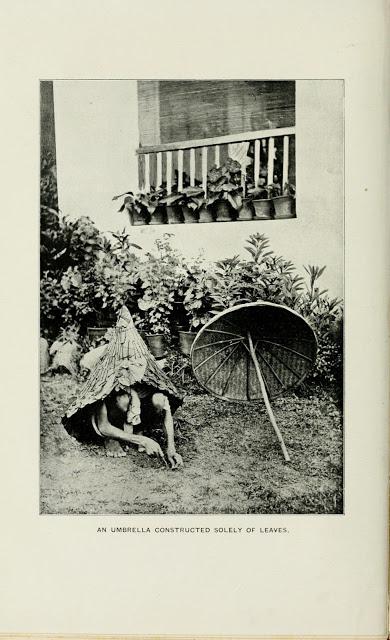 An Umbrella Constructed Solely of Leaves - Chota Nagpur 1903