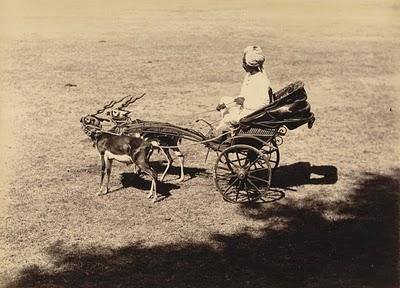 A small carrirge, driven by Deer - Baroda 1895