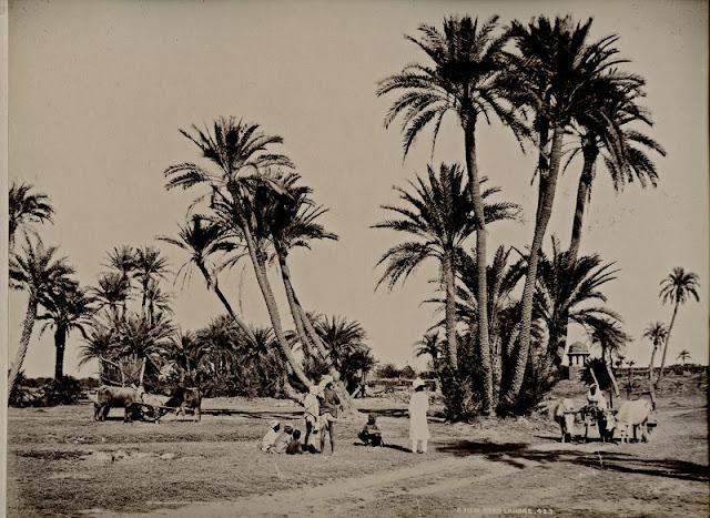 A View Near Lahore - 1860-80's