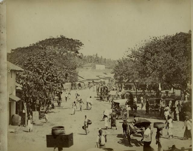 Busy Street Scene - Ceylon (Sri Lanka) - 1890's