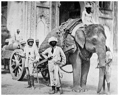 Elephant pulling a field gun