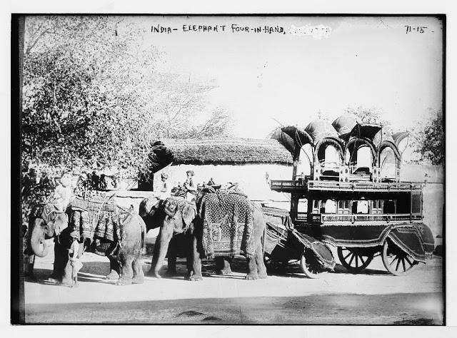 Four Elephants Pulling Carriage