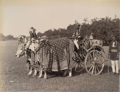 Golden carriage - Baroda 1895