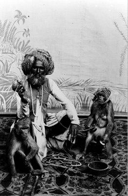 Indian Fakir with Monkeys