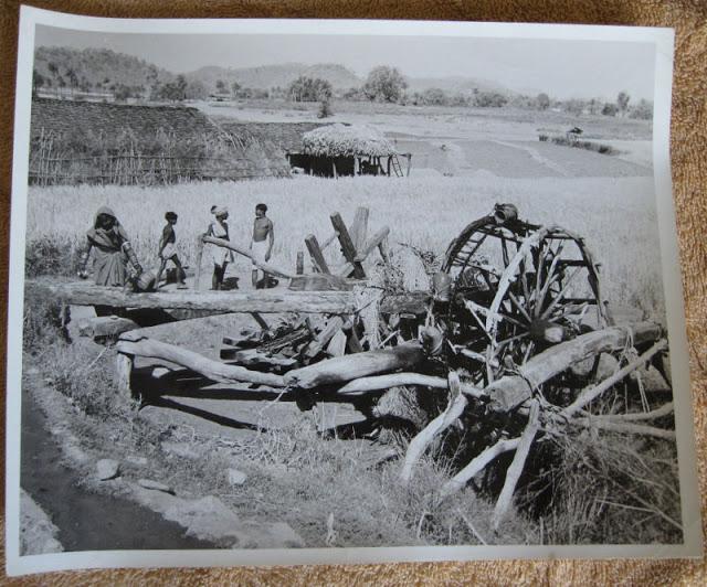 Indian Rural Farming - Rajasthan 1957