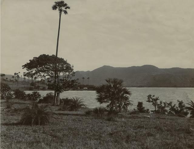 Lake Near Jabalpur, Madhya Pradesh - c1909