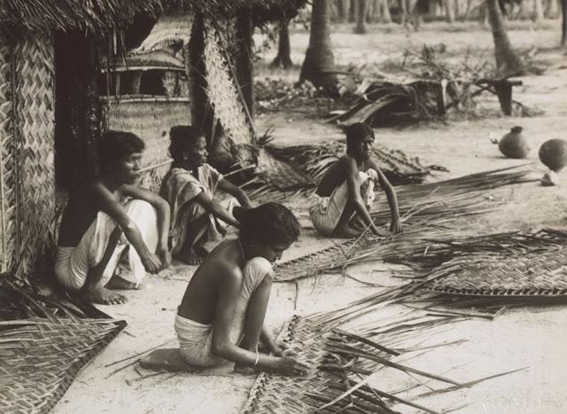 Preparing thatched leaves from coconut palm leaves - Kerala 1921