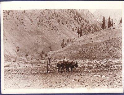 Roosevelt Expedition - India 1920s