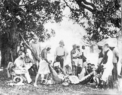 Skinning tiger, 1880s