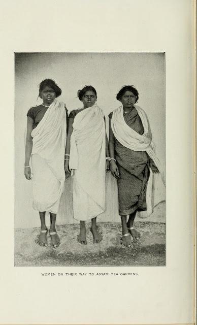 Tribal Women on their Way to Assam Tea Gardens - c1900.jpg