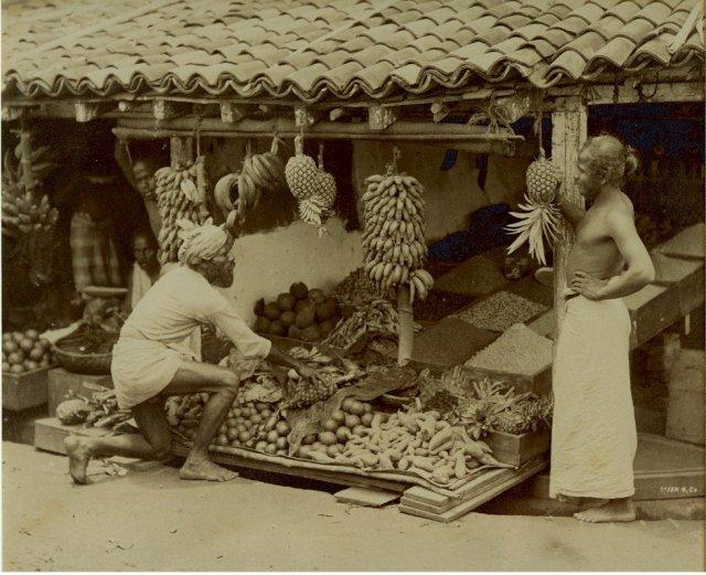 Vegetable and Fruit Merchant - Ceylon (Sri Lanka)