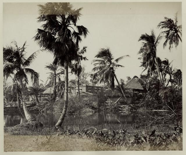 Vintage Photograph of a Village in Bengal - 1860's