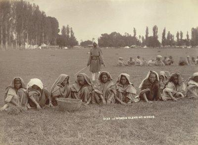 Women clearing weeds - 1895